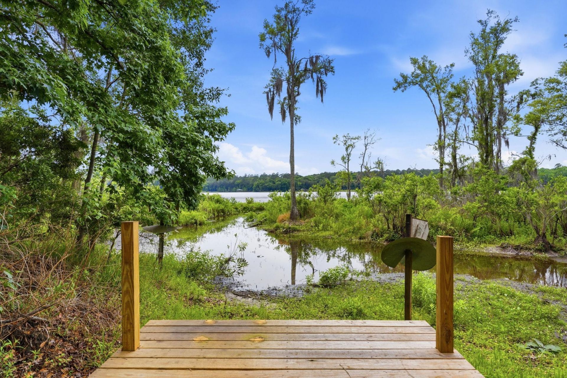6981 Duck Cove Road , Tallahassee, FL 32312 Photo
