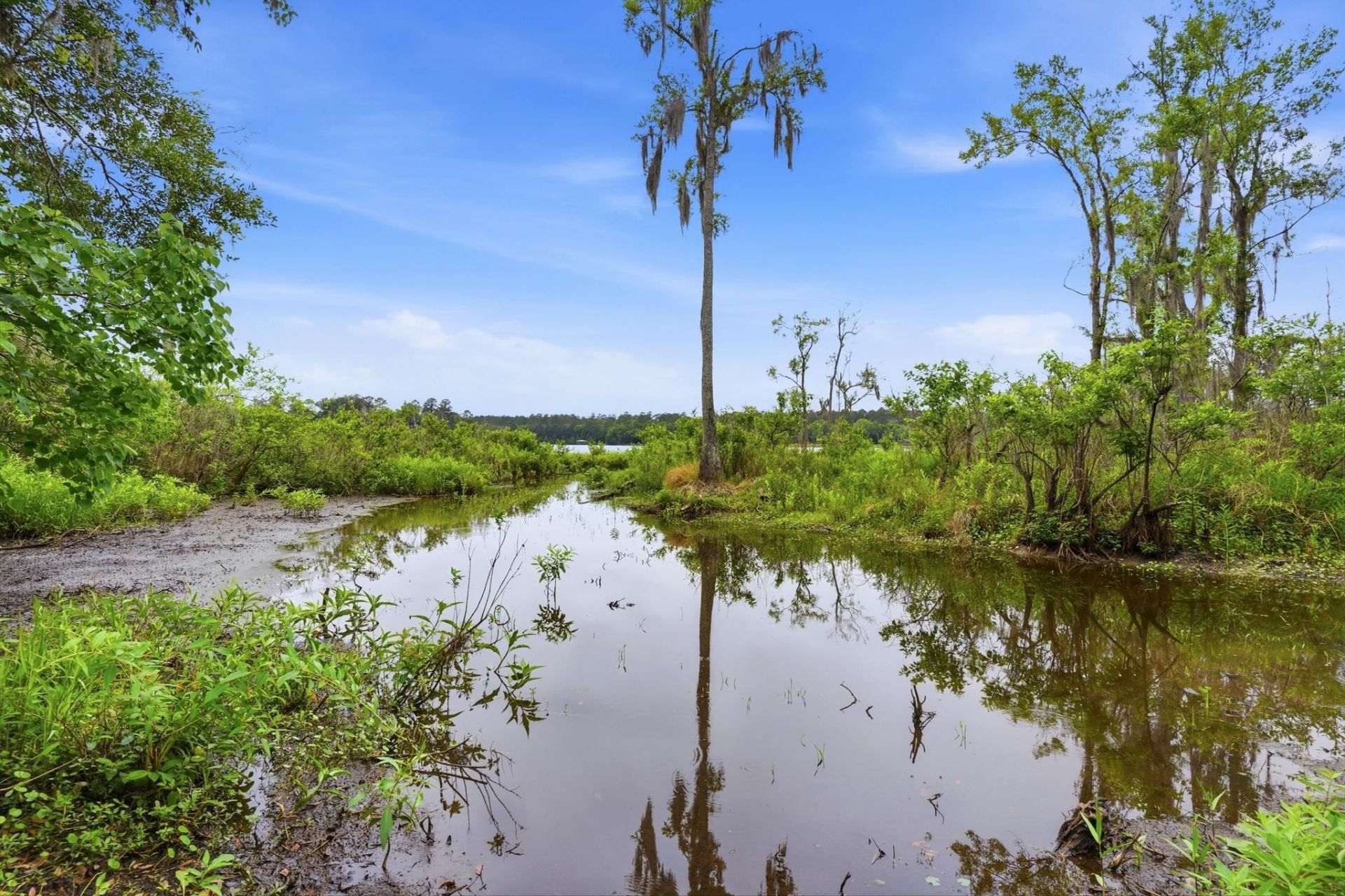 6981 Duck Cove Road , Tallahassee, FL 32312 Photo