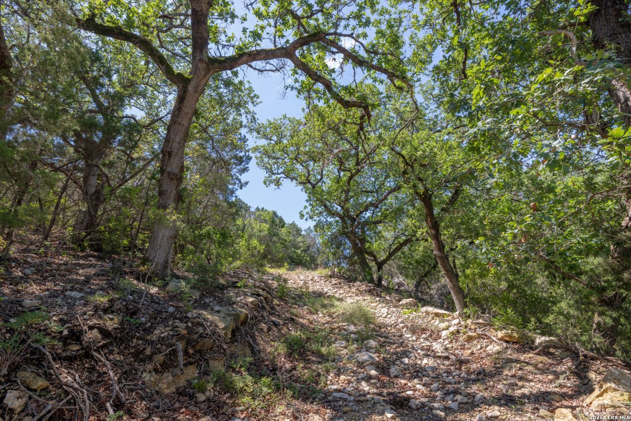 625 County Road 2763, Mico, TX 78056 Main Photo