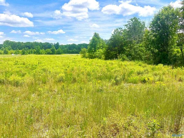 Tract 5 Loggins Road, Athens, AL 35614