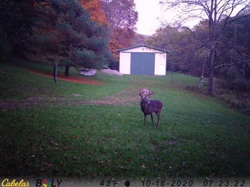 70518 Two Mile Road , New Plymouth, OH 45654 Photo 33