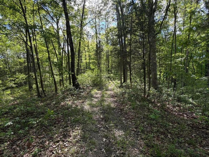 2300 Fairview Road , Seaman, OH 45679 Photo 55