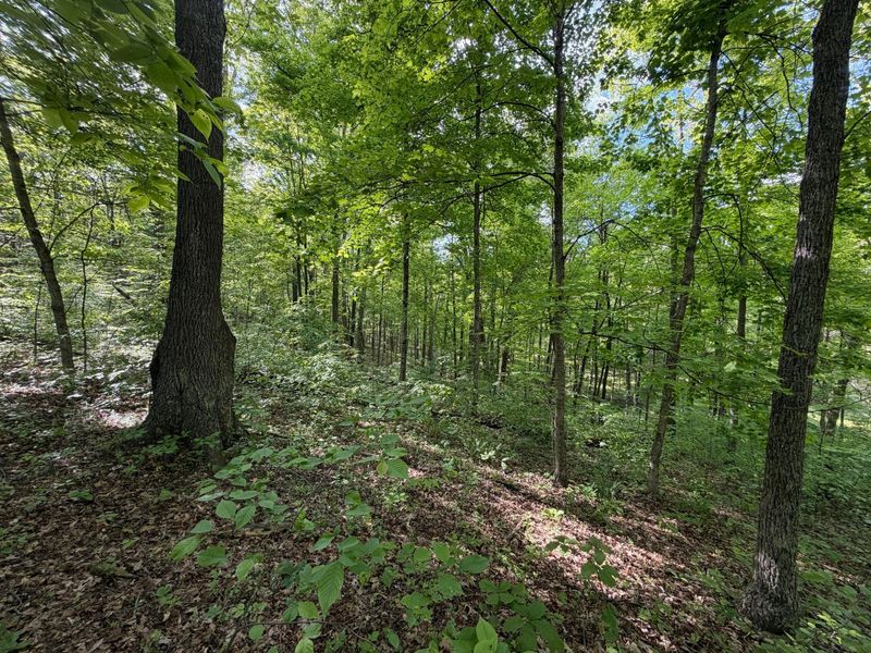 2300 Fairview Road , Seaman, OH 45679 Photo 58