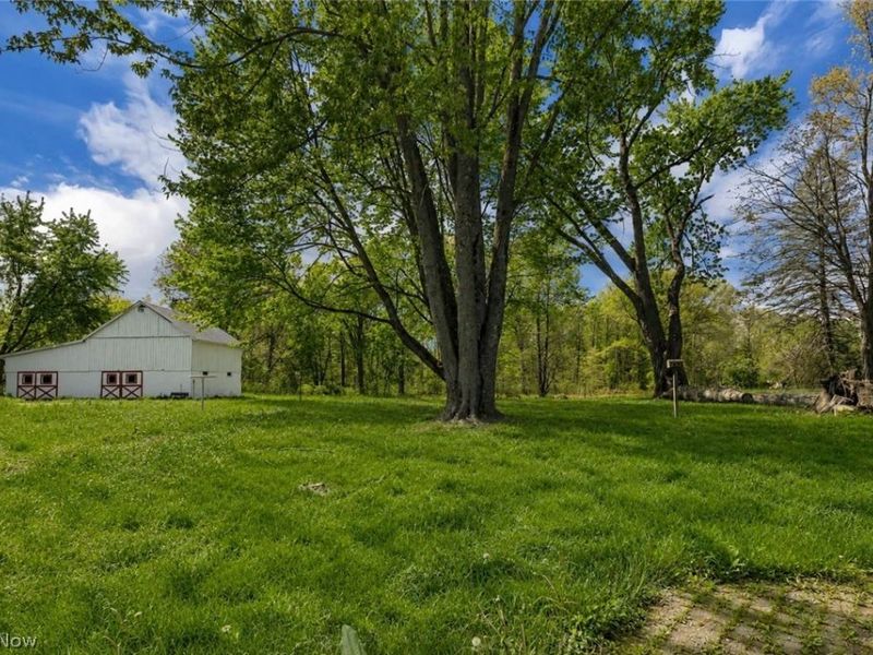 4556 Warren Sharon Road, Vienna, OH 44473 Photo 18