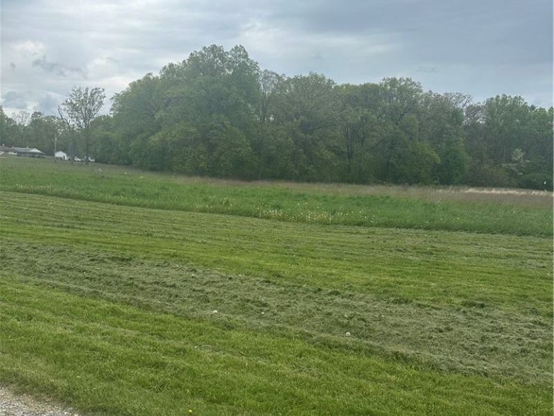 Maple Avenue, Austintown, OH 44515 Photo 1