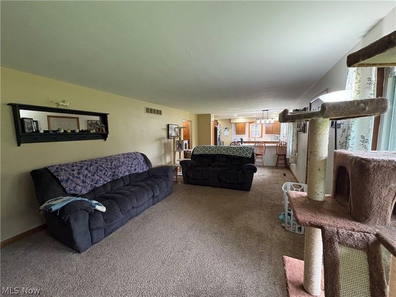 1697 W South Range Road, North Lima, OH 44452 Photo 17