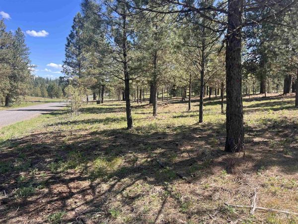 Lot 44 Old Hwy 95, New Meadows, ID 83654