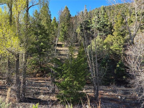 Lot 5475 Joy Road , Fort Garland, CO 81133