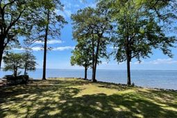 1441 Old Chapin Road  photo 4