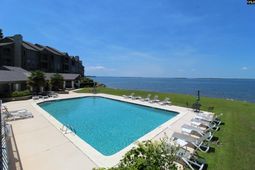 1441 Old Chapin Road  photo 4