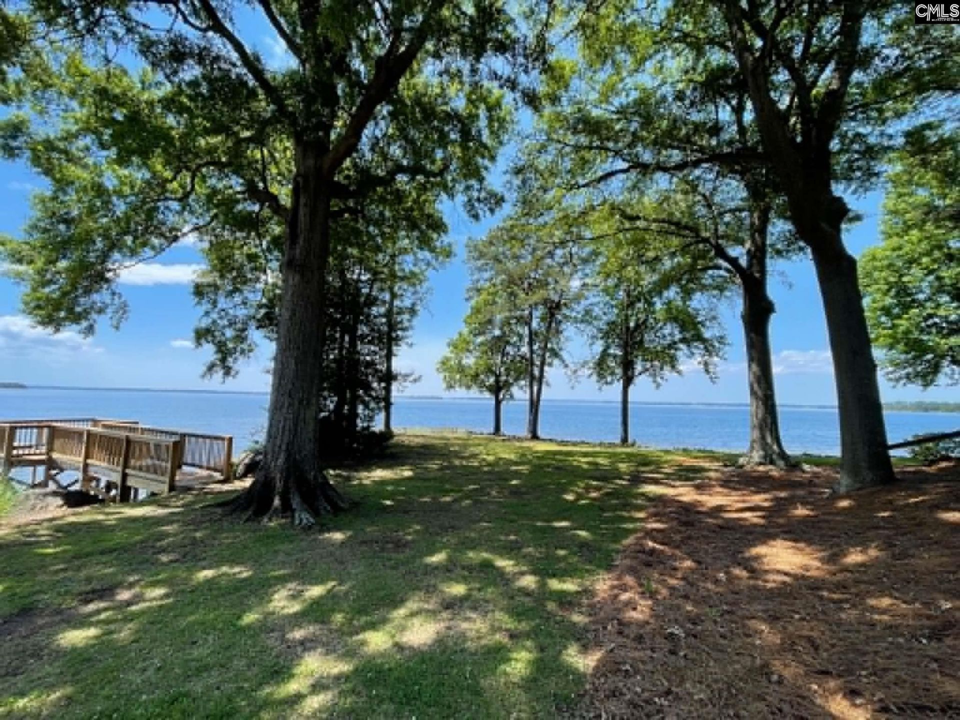 1441 Old Chapin Road  Photo 35