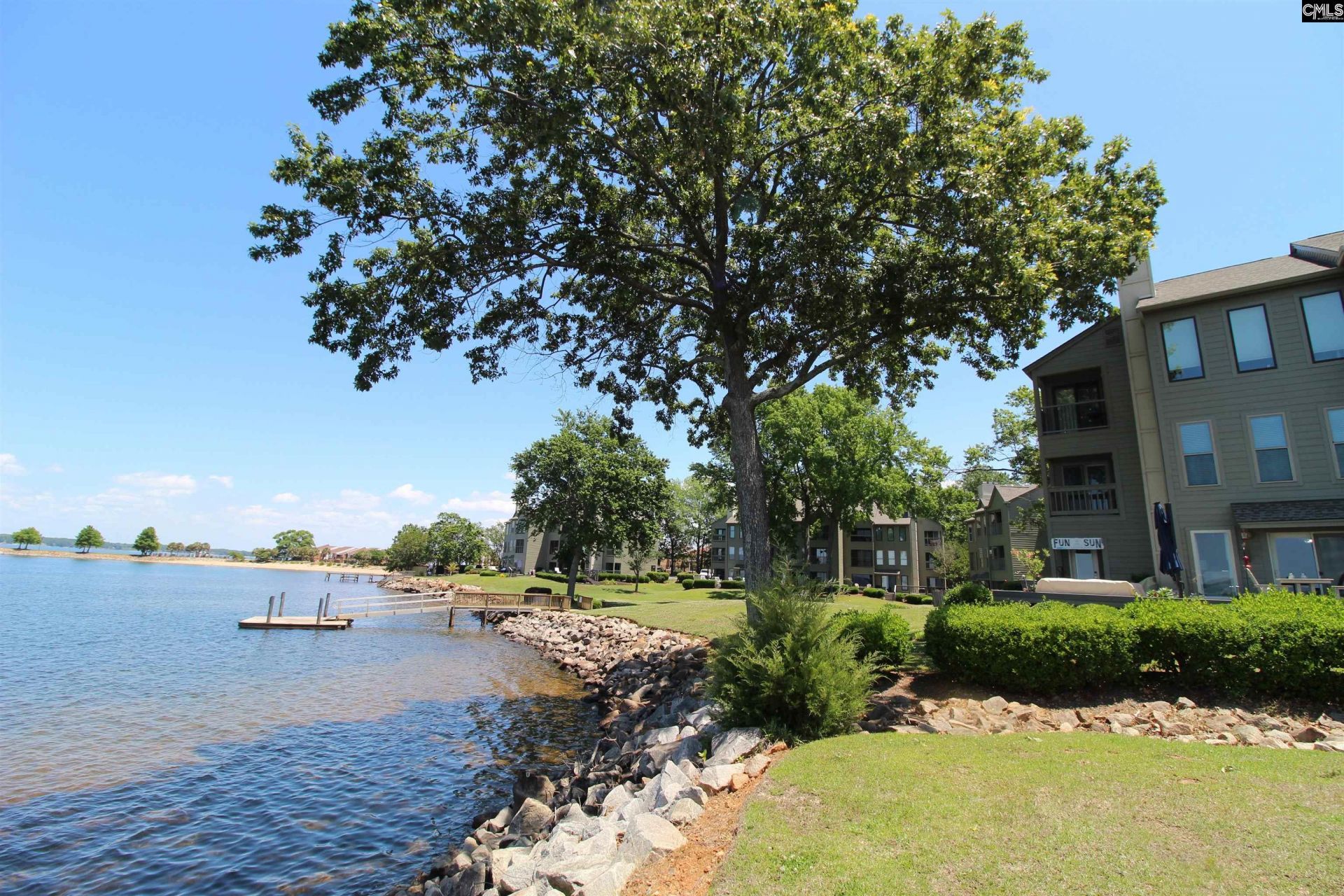 1441 Old Chapin Road  Photo 36