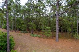 0 Pond Branch Road  photo 4