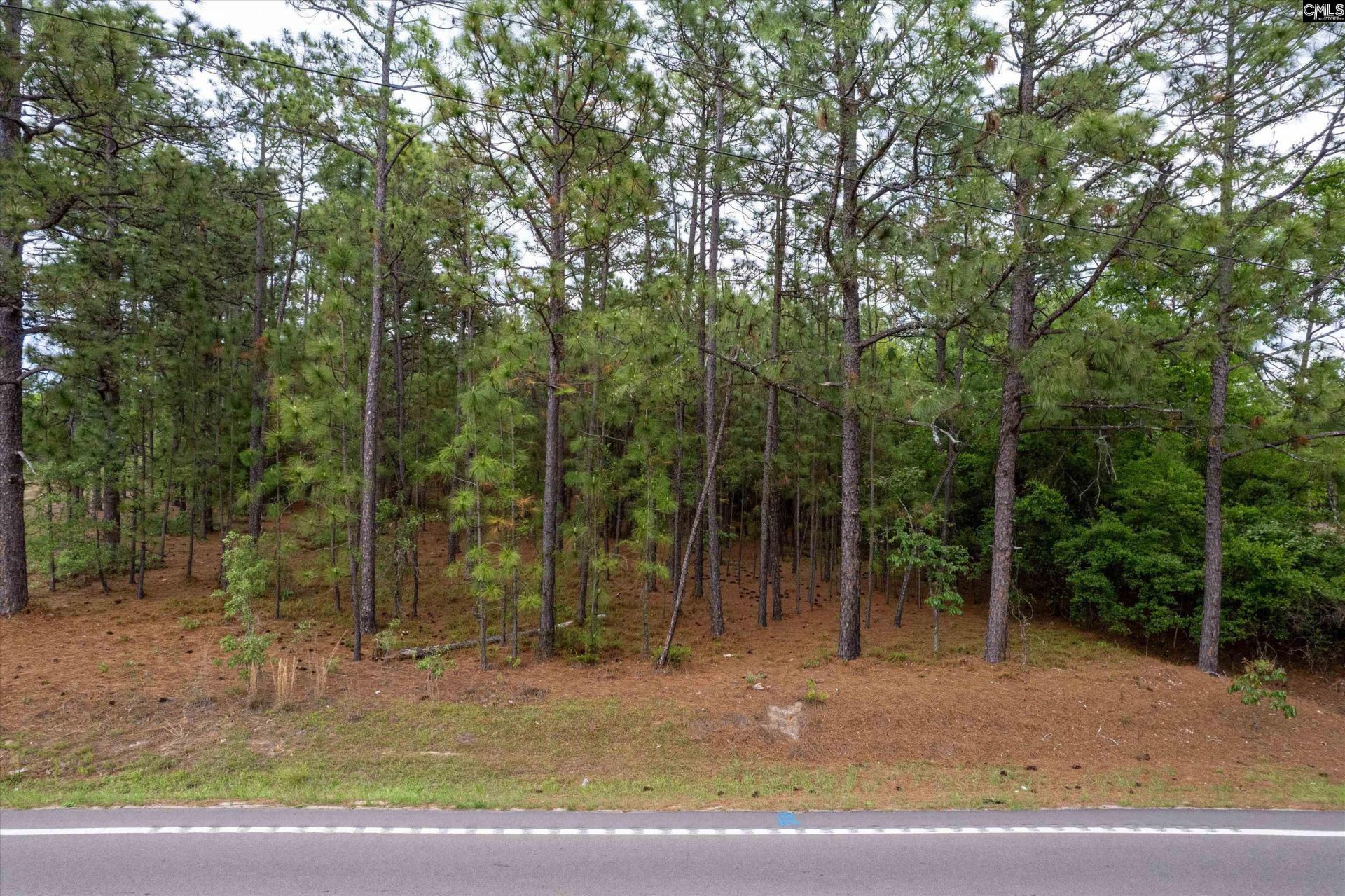 0 Pond Branch Road  Photo 6