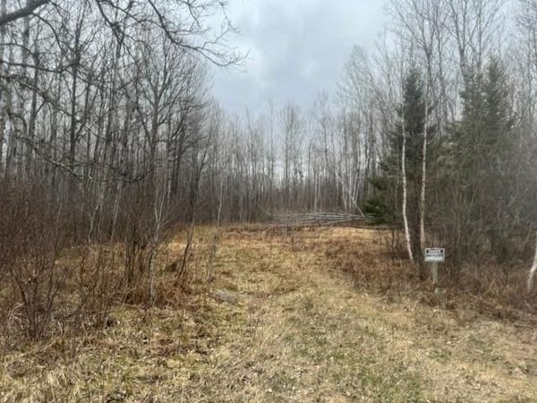 XXX Frazer Road , Deer River, MN 56631