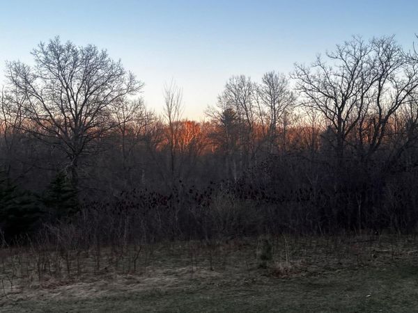 2115 S Brookview Drive , Mora, MN 55051