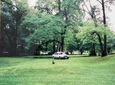 Main Photo