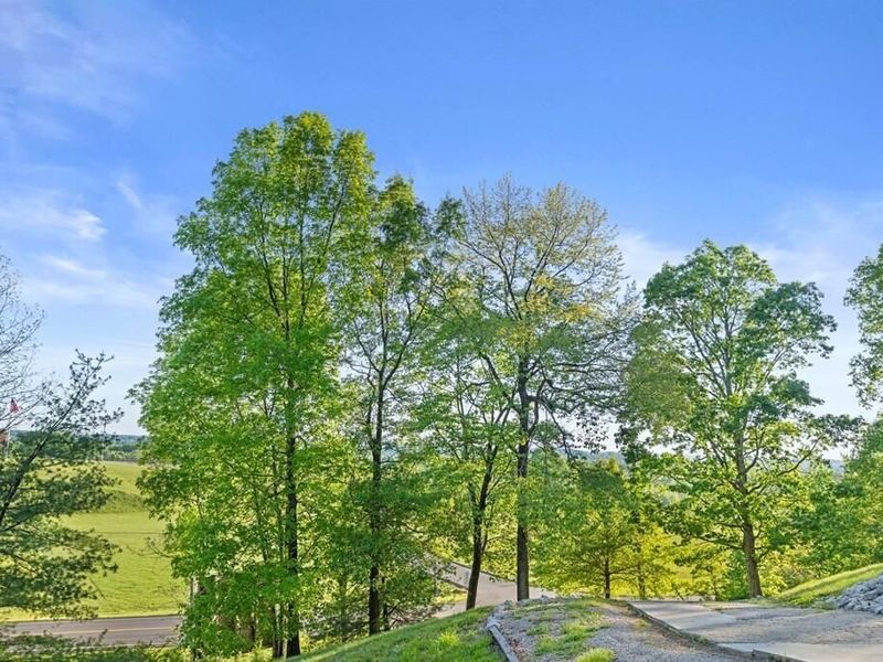 281 Pattonsville Road , Jackson, OH 45640 Photo 30