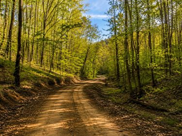 0 Blackstone Mountain Phase II Tract 72 , Manchester, KY 40962
