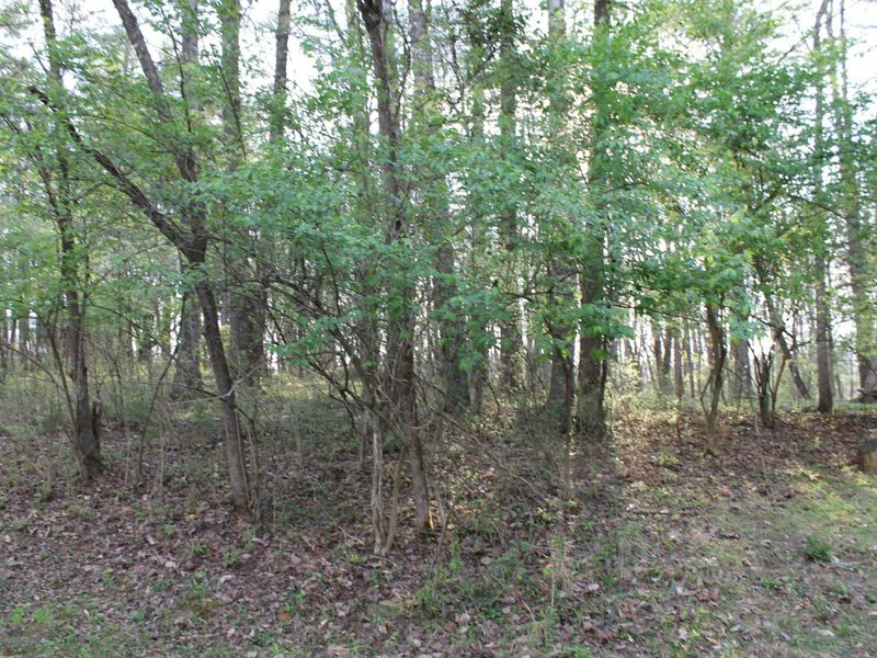 359 Nootka Lane, Hideaway Hills, OH 43107 Photo 13