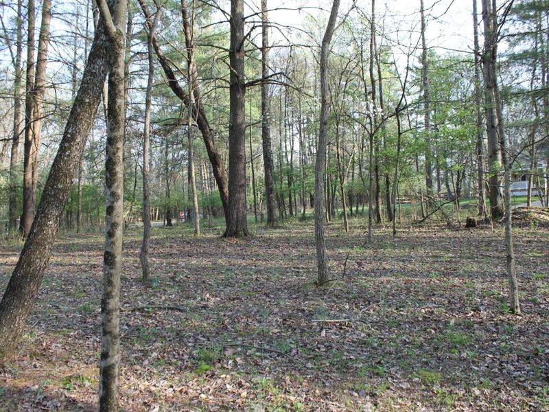 359 Nootka Lane, Hideaway Hills, OH 43107 Photo 3