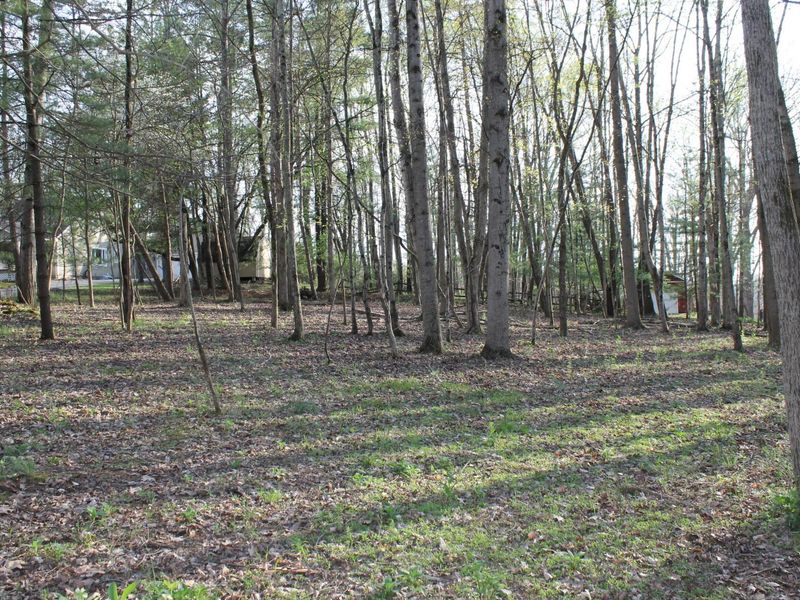 359 Nootka Lane, Hideaway Hills, OH 43107 Photo 5