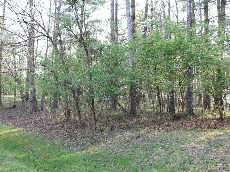 359 Nootka Lane, Hideaway Hills, OH 43107 Photo 6