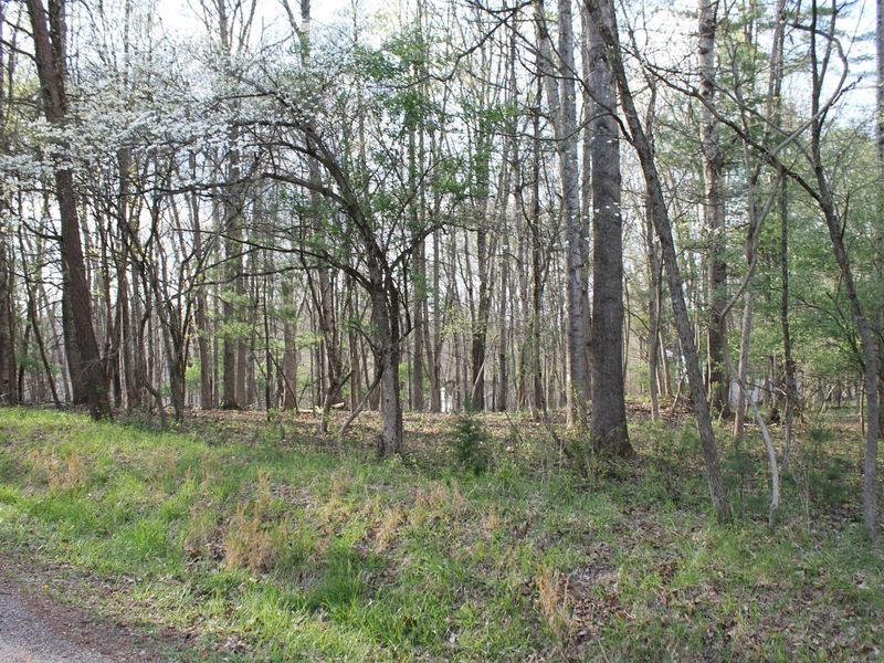 359 Nootka Lane, Hideaway Hills, OH 43107 Photo 7