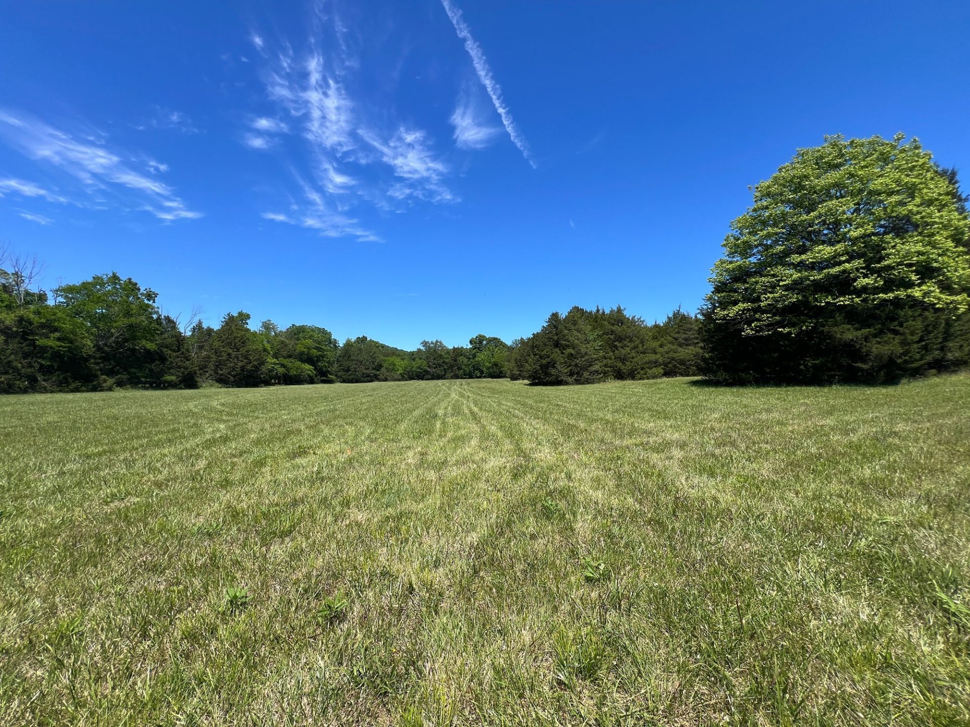 2825 Oregon Rd , Milton, TN 37118 Main Photo