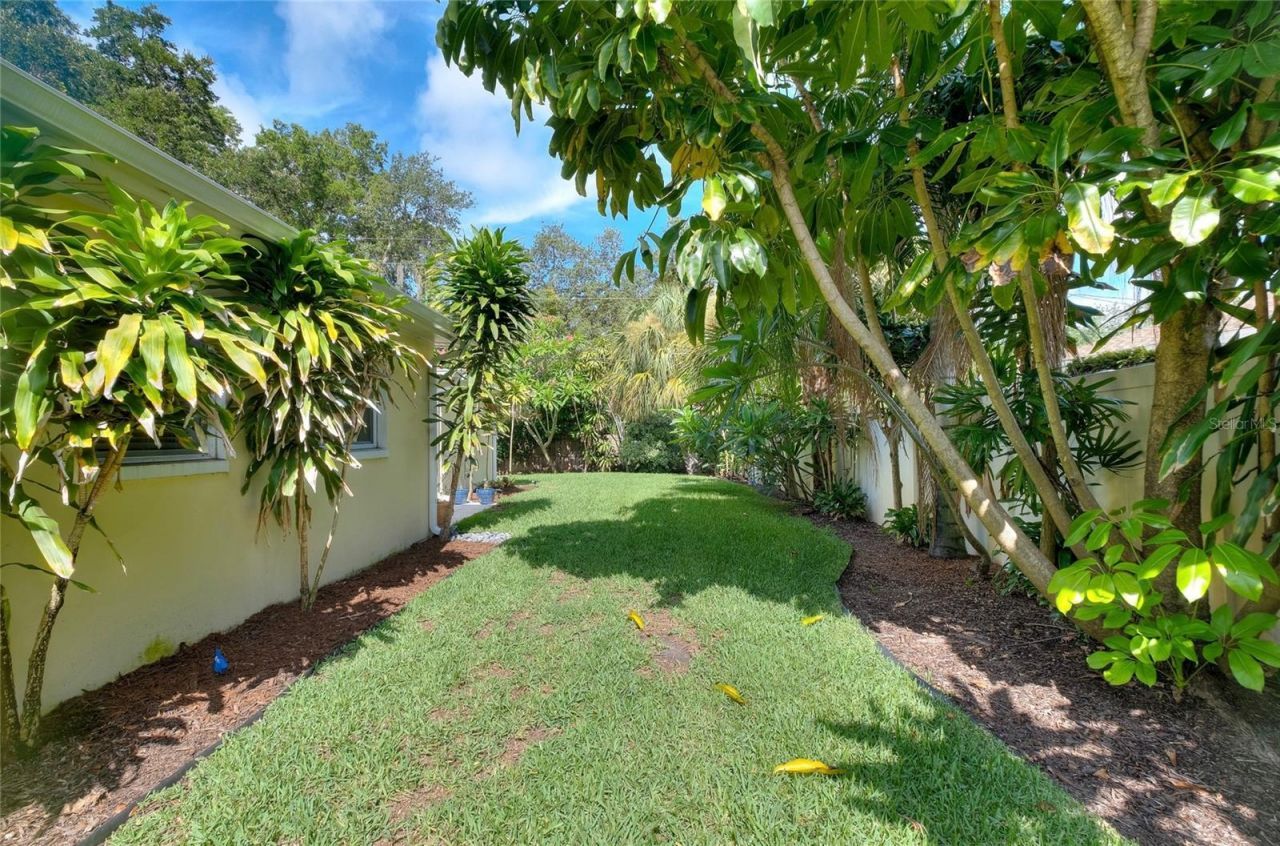2500 Park Street N, Saint Petersburg, FL 33710 Photo
