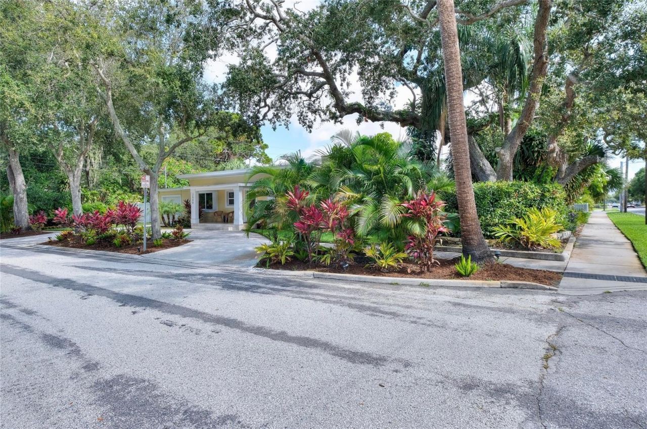 2500 Park Street N, Saint Petersburg, FL 33710 Photo
