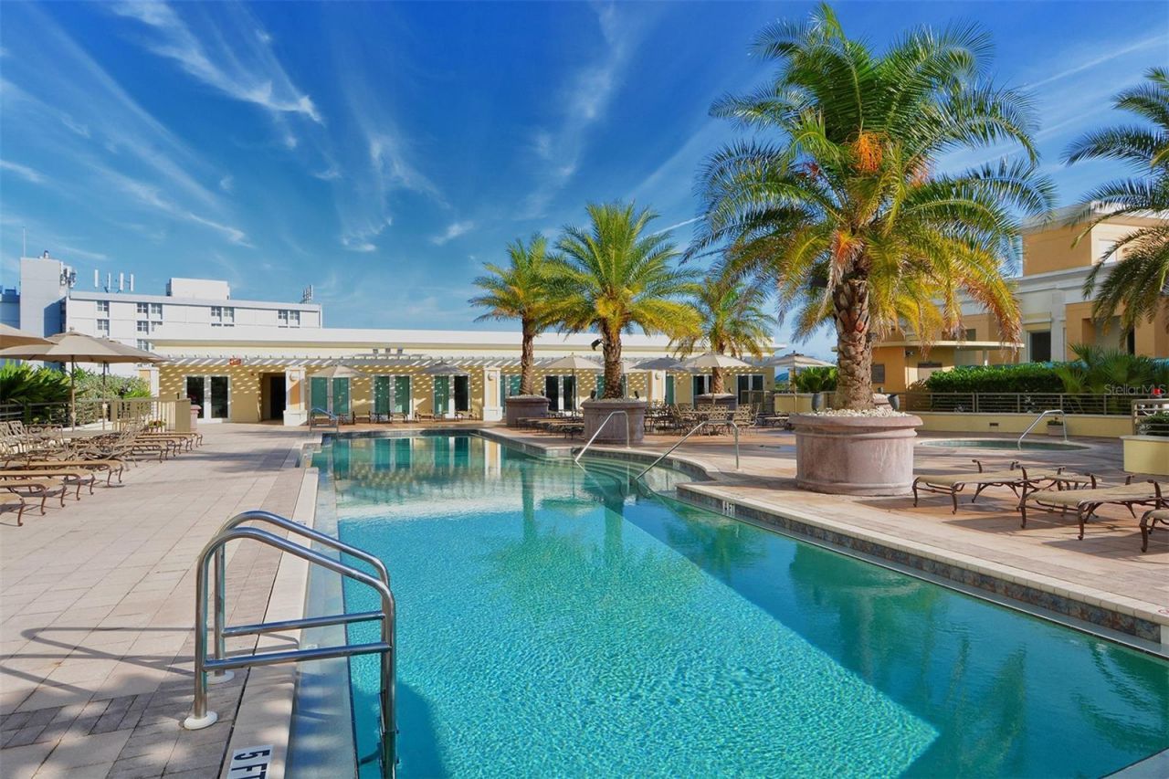 800 N Tamiami Trail, Unit 203, Sarasota, FL 34236 Photo