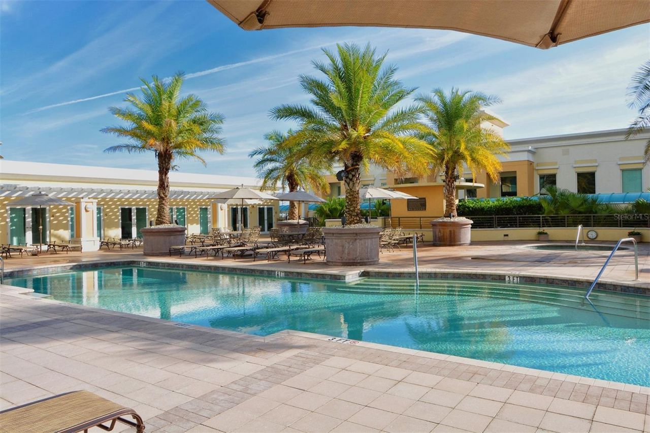 800 N Tamiami Trail, Unit 203, Sarasota, FL 34236 Photo