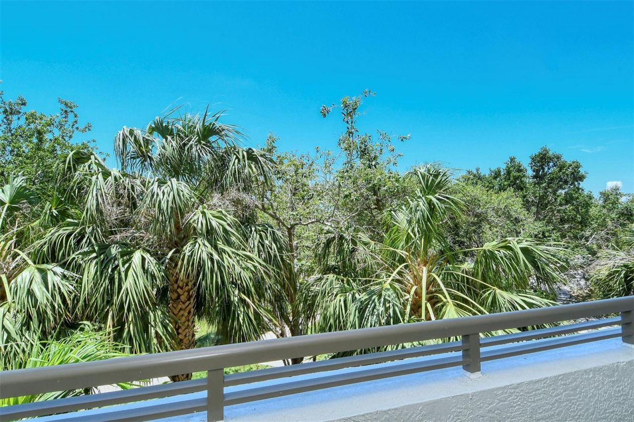 800 N Tamiami Trail, Unit 203, Sarasota, FL 34236 Photo