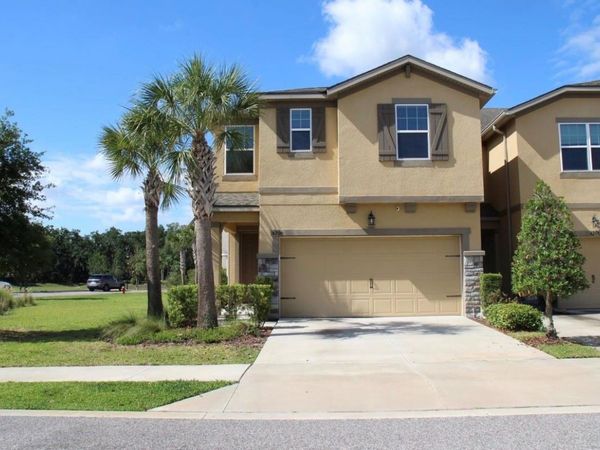6206 SCARLET DARTER WAY, TAMPA, FL 33625