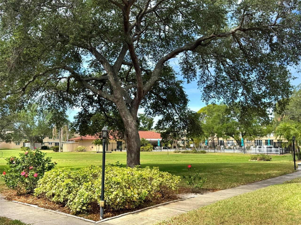 5080 Locust Street Ne, Unit 219, Saint Petersburg, FL 33703 Photo