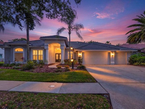 17820 OSPREY POINTE PLACE , TAMPA, FL 33647