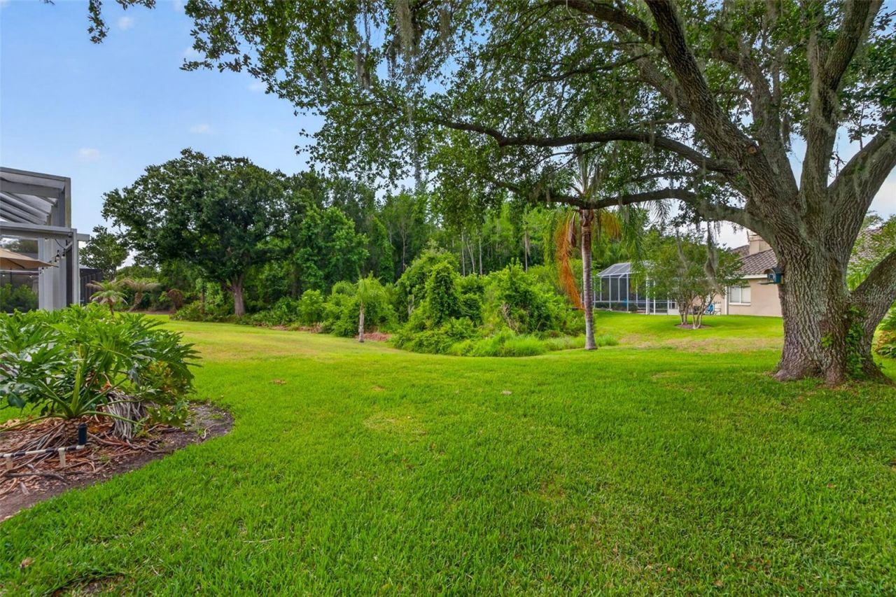 17820 Osprey Pointe Place , Tampa, FL 33647 Photo