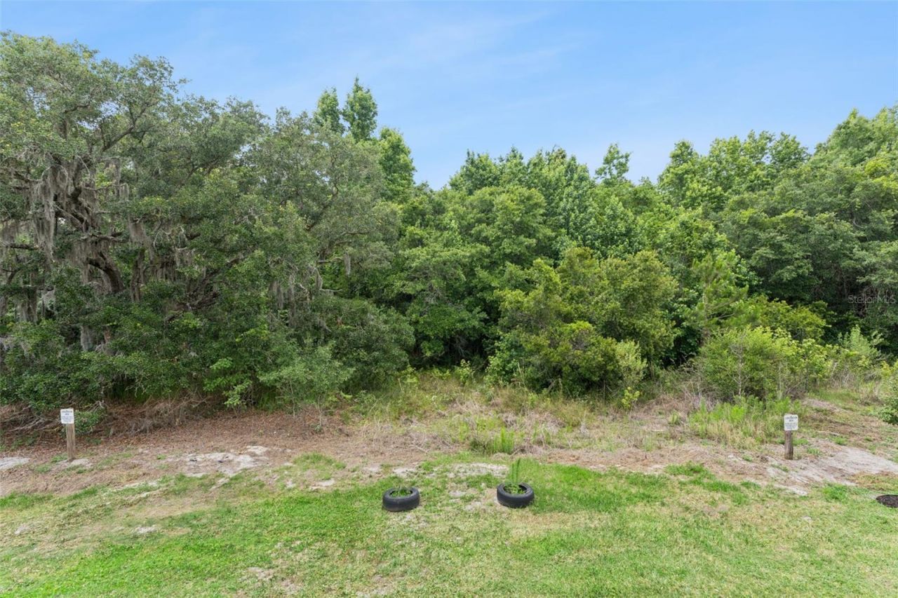 914 Spring Palms Loop , Orlando, FL 32828 Photo