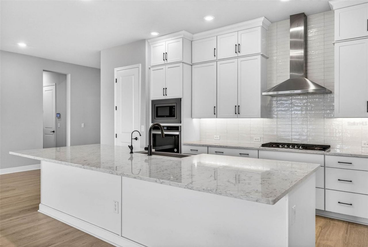 16181 November Rain Court, Land O Lakes, FL 34638 Photo
