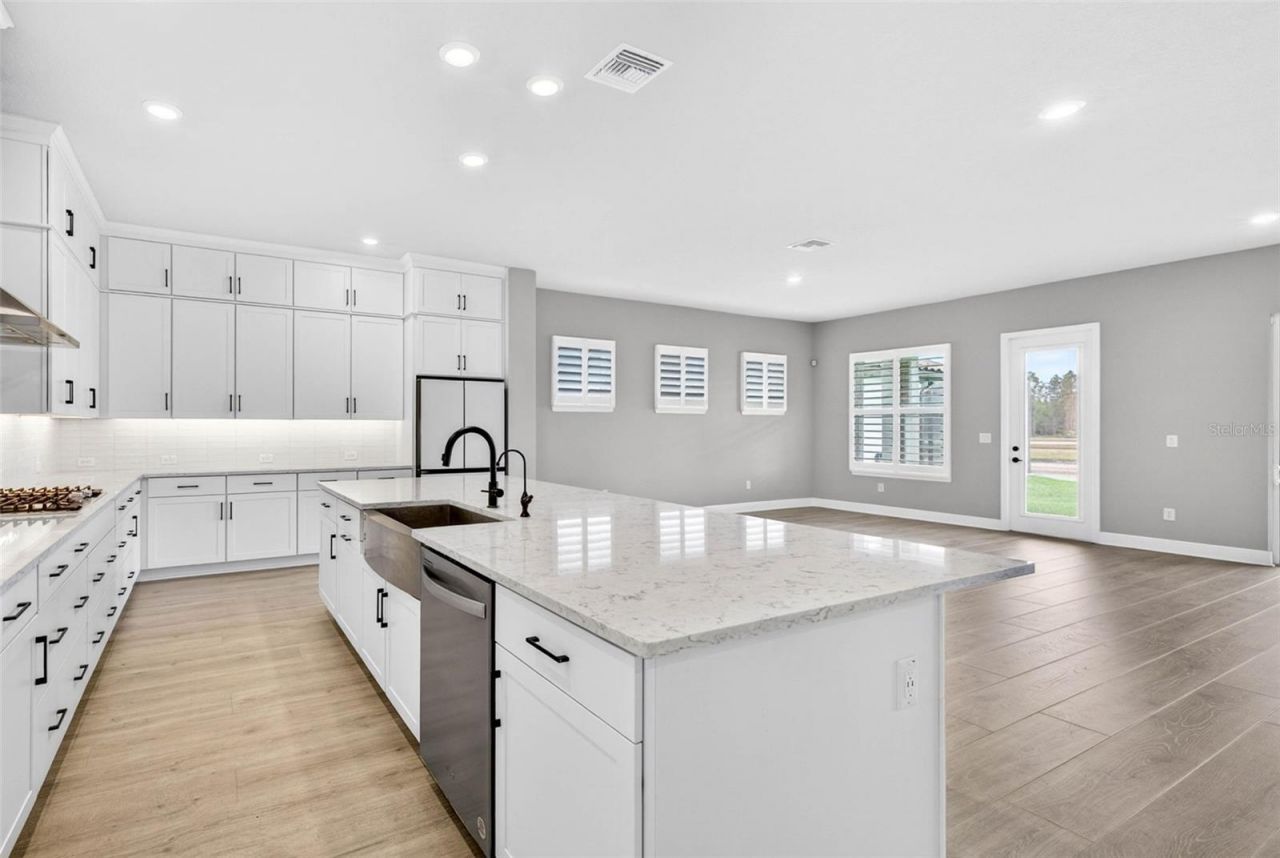 16181 November Rain Court, Land O Lakes, FL 34638 Photo