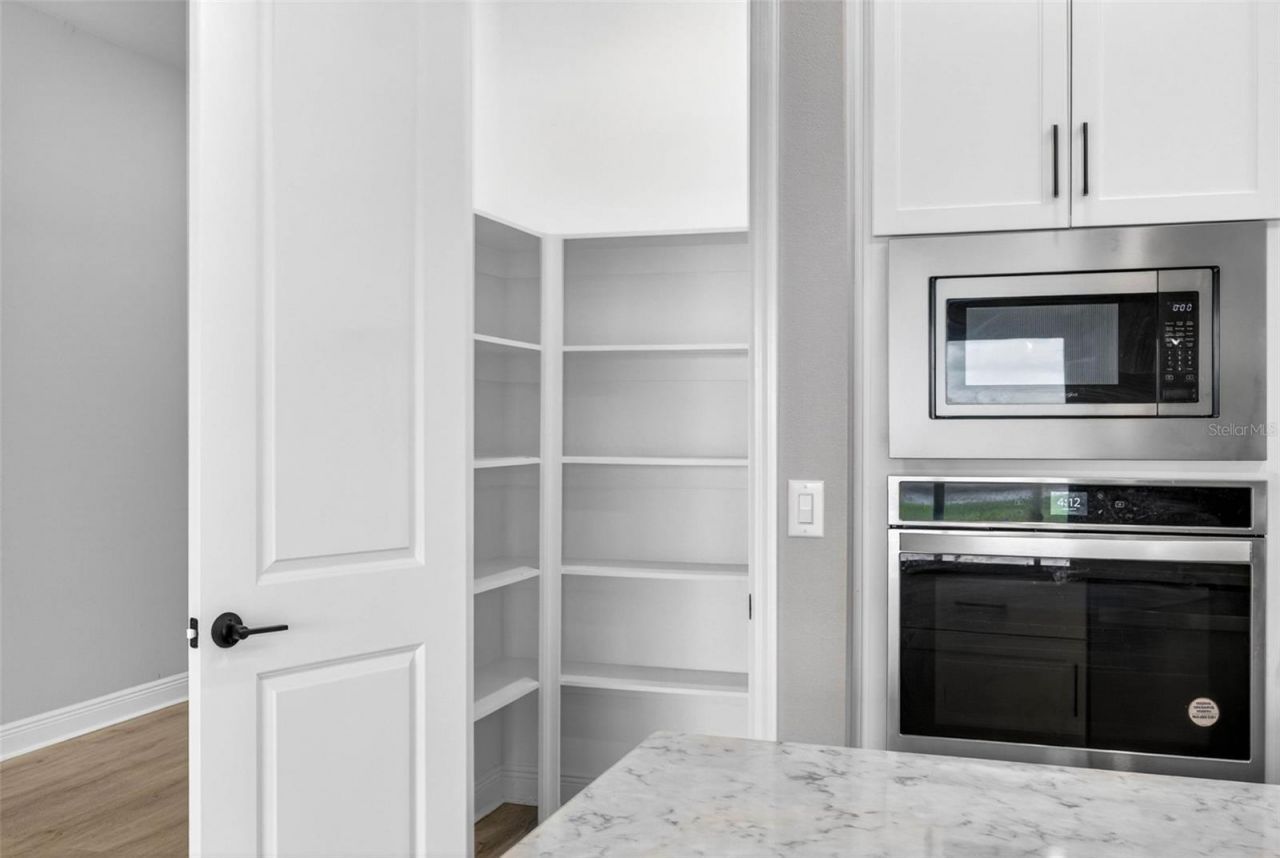 16181 November Rain Court, Land O Lakes, FL 34638 Photo