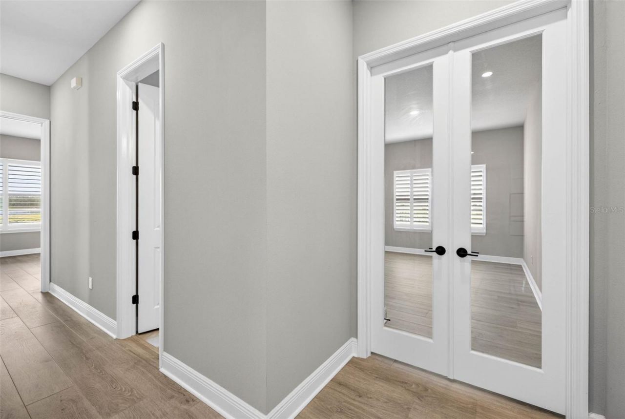 16181 November Rain Court, Land O Lakes, FL 34638 Photo