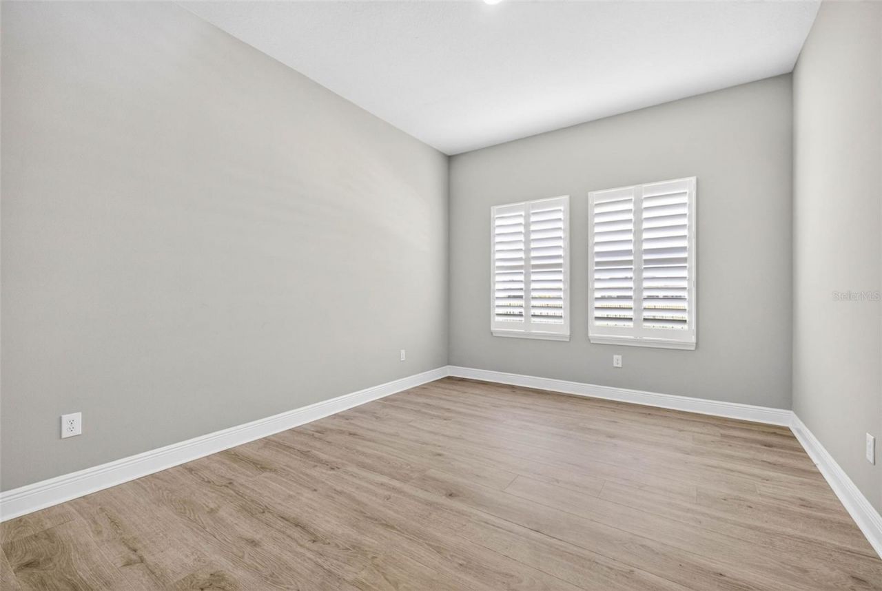 16181 November Rain Court, Land O Lakes, FL 34638 Photo