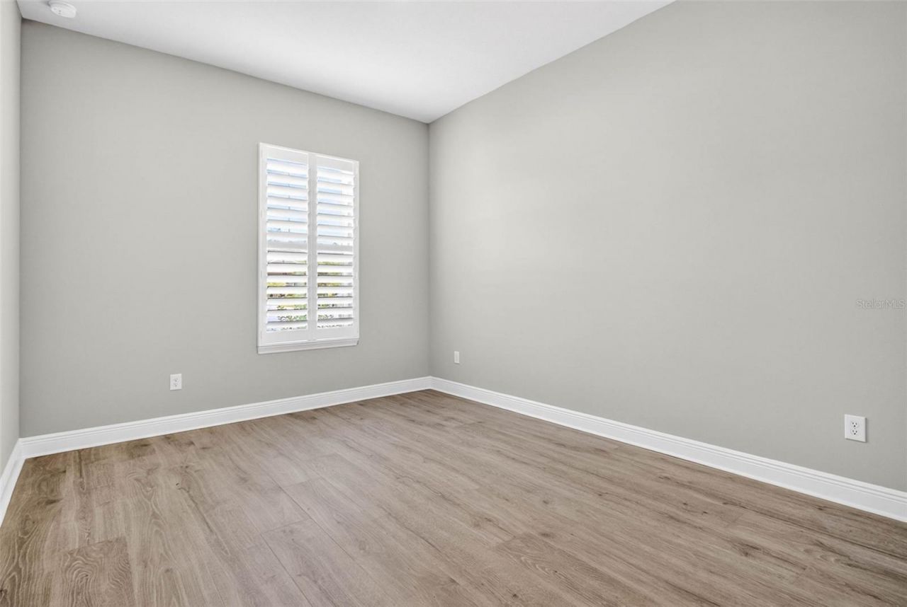 16181 November Rain Court, Land O Lakes, FL 34638 Photo