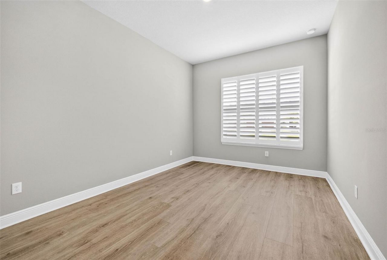 16181 November Rain Court, Land O Lakes, FL 34638 Photo