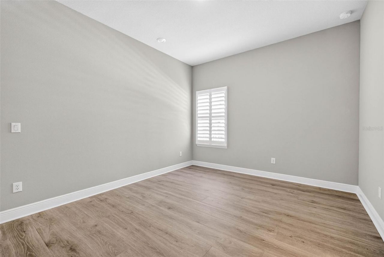 16181 November Rain Court, Land O Lakes, FL 34638 Photo