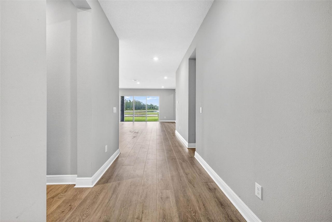 16181 November Rain Court, Land O Lakes, FL 34638 Photo