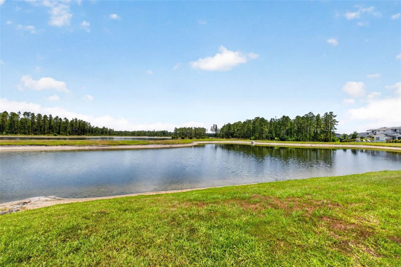 16181 November Rain Court, Land O Lakes, FL 34638 Photo