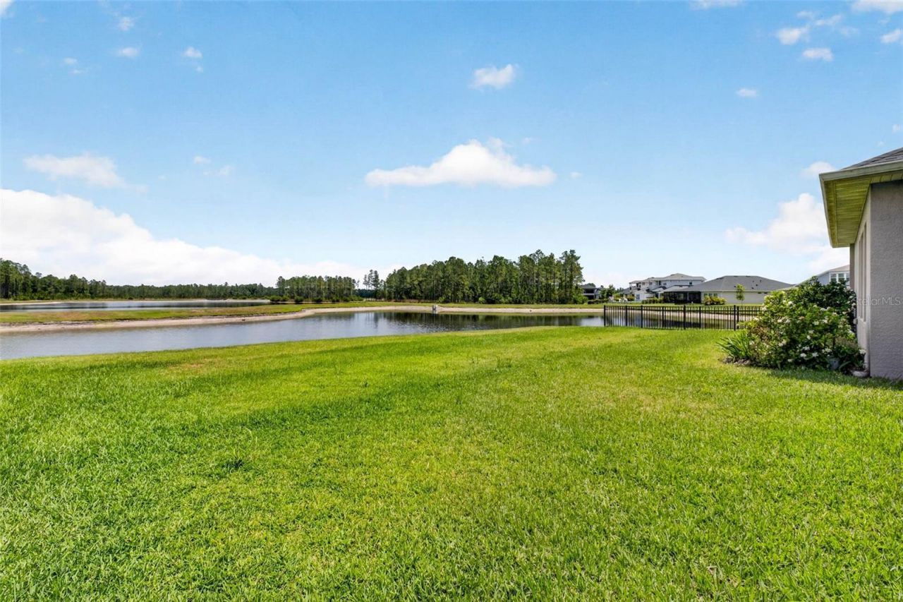 16181 November Rain Court, Land O Lakes, FL 34638 Photo